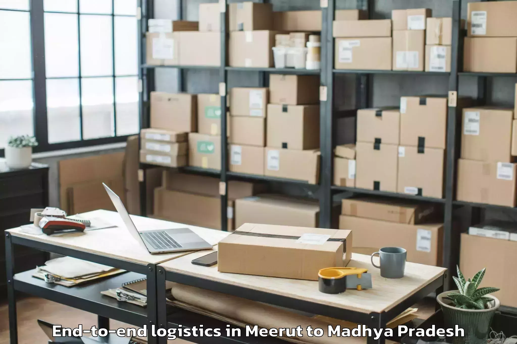 Book Meerut to Thikri End To End Logistics Online